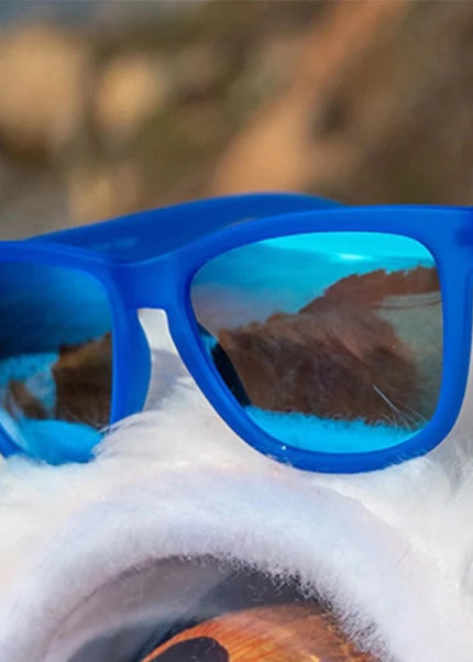 Goodr | Falkor Fever's Dream | Unisex