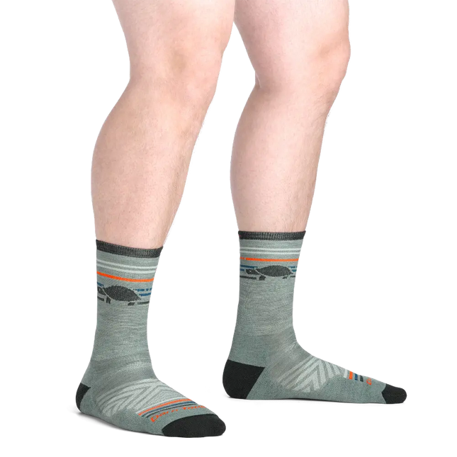 Darn Tough | Run Sock Pacer Lightweight Cushion | Heren | Seafoam