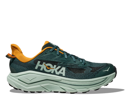 Hoka | Challenger 8 | Bay Leaf / Sage | Heren