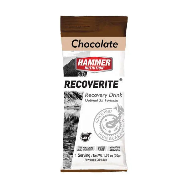 Hammer | Recoverite | Chocolate | Sachet Hammer Nutrition