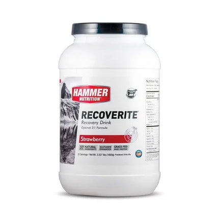 Hammer | Recoverite | Strawberry | 32 servings Hammer Nutrition